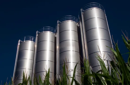 Silver silos towering over a lush cornfield under a clear blue sky. Biomethane feed-in into the natural gas grid